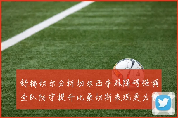 舒梅切尔分析切尔西夺冠障碍强调全队防守提升比桑切斯表现更为重要