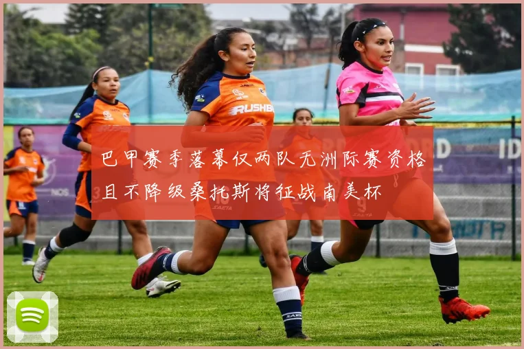 巴甲赛季落幕仅两队无洲际赛资格且不降级桑托斯将征战南美杯